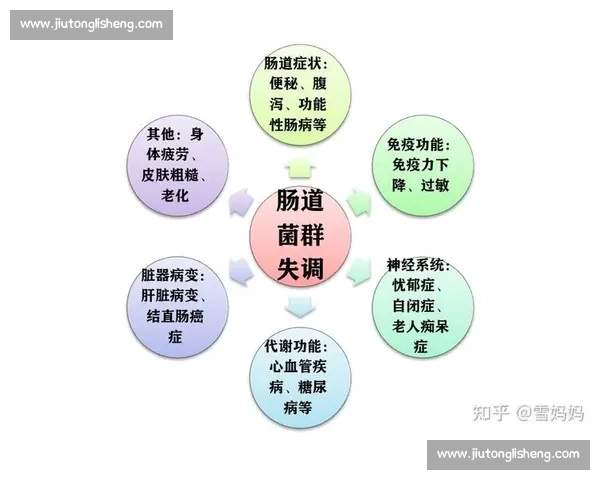 探究人体各大系统的协同运作与健康维护机制分析